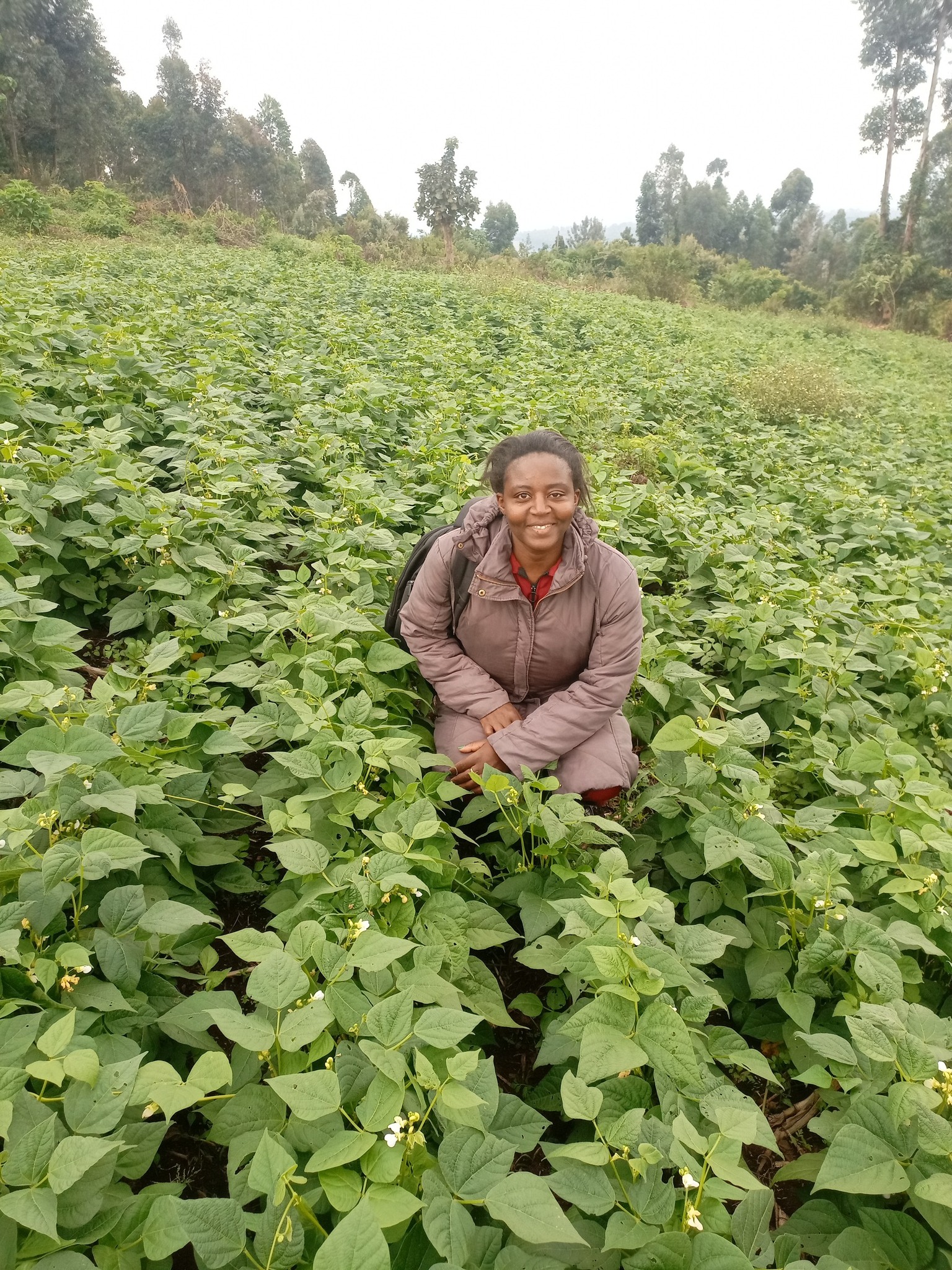Common Ground for Africa, Kenya